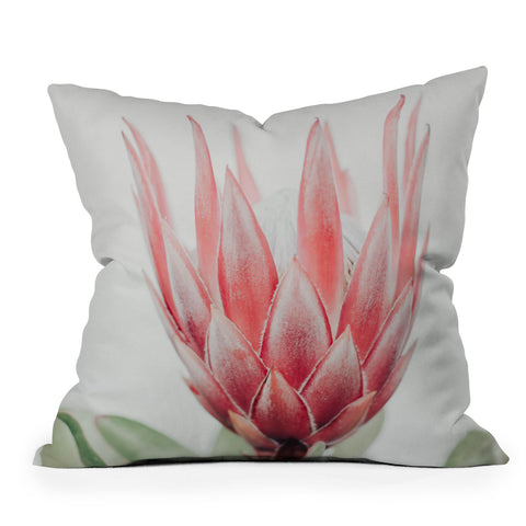 Ingrid Beddoes King Protea flower Outdoor Throw Pillow