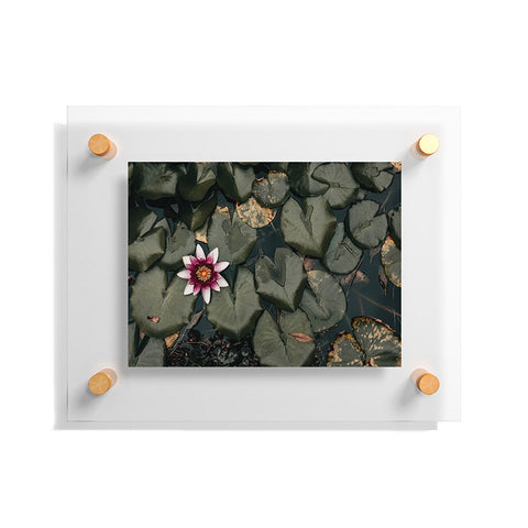 Ingrid Beddoes Lily Pond Floating Acrylic Print