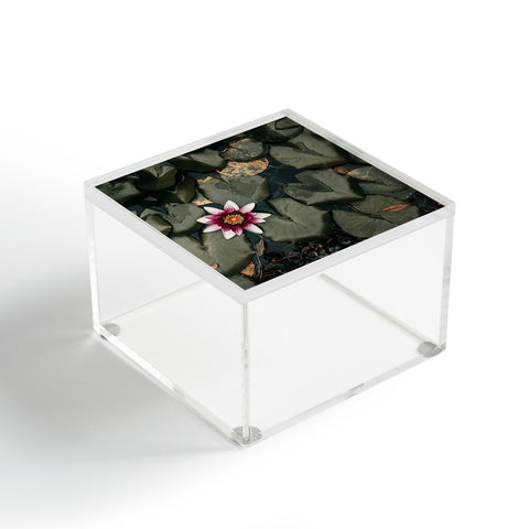 Ingrid Beddoes Lily Pond Acrylic Box