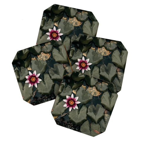 Ingrid Beddoes Lily Pond Coaster Set