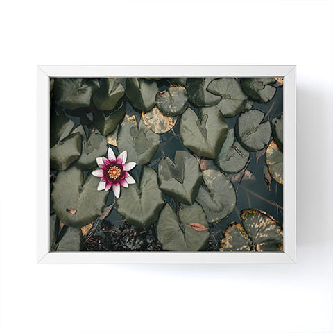 Ingrid Beddoes Lily Pond Framed Mini Art Print