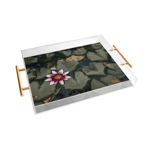 Ingrid Beddoes Lily Pond Acrylic Tray