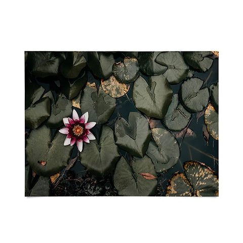 Ingrid Beddoes Lily Pond Poster