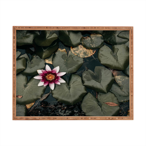 Ingrid Beddoes Lily Pond Rectangular Tray