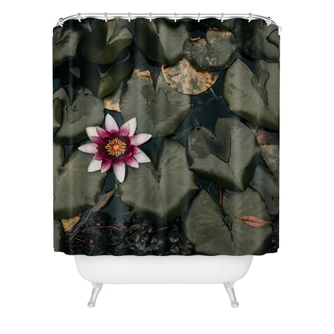 Ingrid Beddoes Lily Pond Shower Curtain