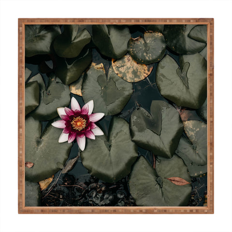 Ingrid Beddoes Lily Pond Square Tray