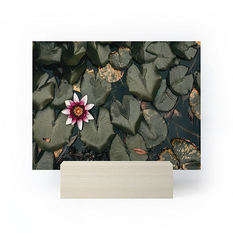 Ingrid Beddoes Lily Pond Mini Art Print