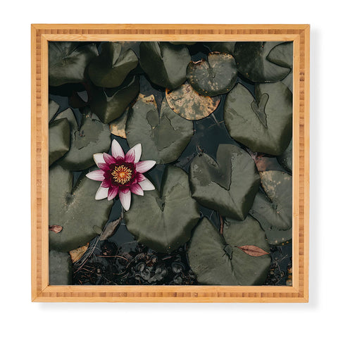 Ingrid Beddoes Lily Pond Framed Wall Art