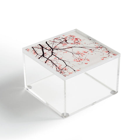 Ingrid Beddoes Magnolia Flowers Pink Acrylic Box