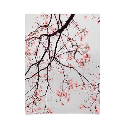 Ingrid Beddoes Magnolia Flowers Pink Poster