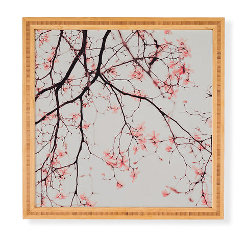Ingrid Beddoes Magnolia Flowers Pink Framed Wall Art