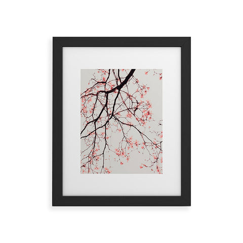 Ingrid Beddoes Magnolia Flowers Pink Framed Art Print