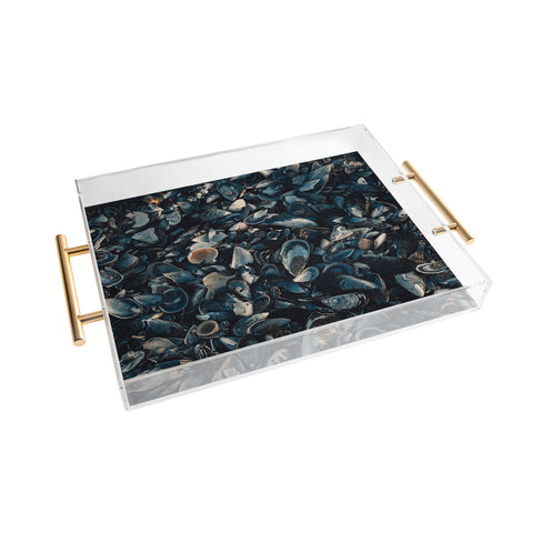 Ingrid Beddoes moody indigo Acrylic Tray