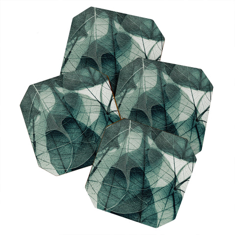 Ingrid Beddoes Olive Green Coaster Set