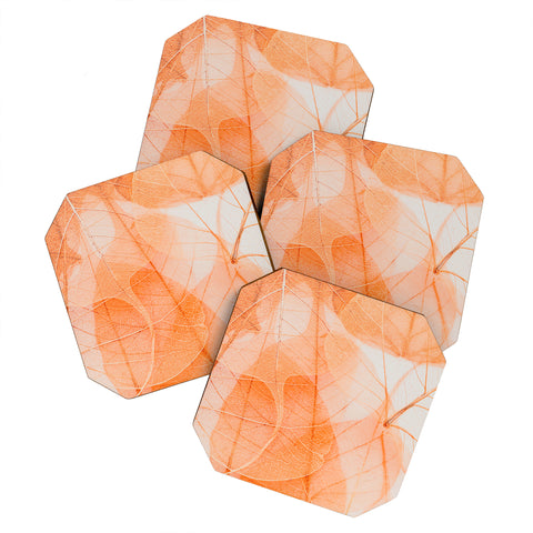 Ingrid Beddoes Orange marmalade Coaster Set