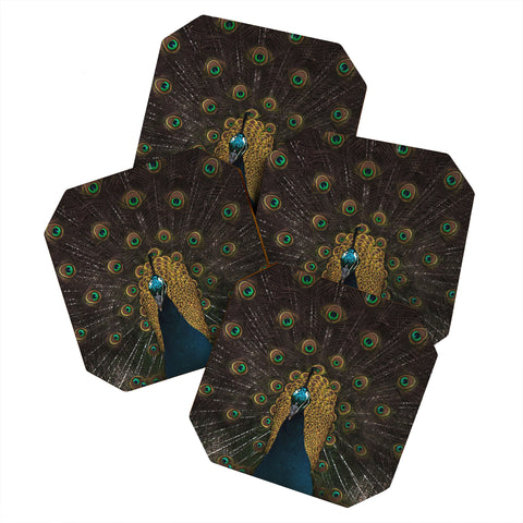 Ingrid Beddoes Peacock and proud III Coaster Set