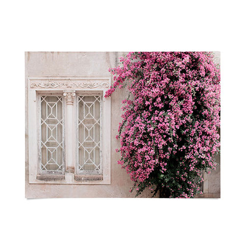 Ingrid Beddoes Pretty Window Bougainvillea Poster