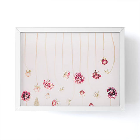 Ingrid Beddoes Strawflowers Pink Flowers Framed Mini Art Print