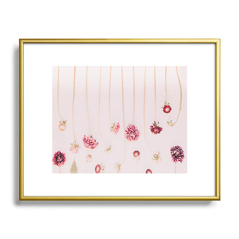 Ingrid Beddoes Strawflowers Pink Flowers Metal Framed Art Print