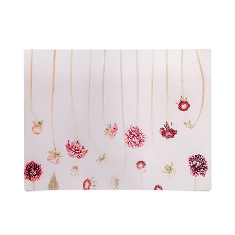 Ingrid Beddoes Strawflowers Pink Flowers Poster