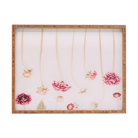 Ingrid Beddoes Strawflowers Pink Flowers Rectangular Tray