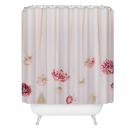 Ingrid Beddoes Strawflowers Pink Flowers Shower Curtain