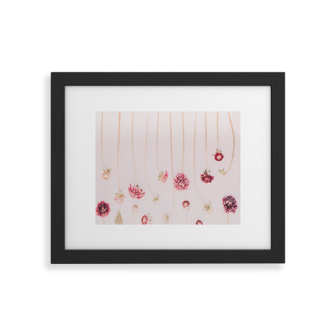 Ingrid Beddoes Strawflowers Pink Flowers Framed Art Print