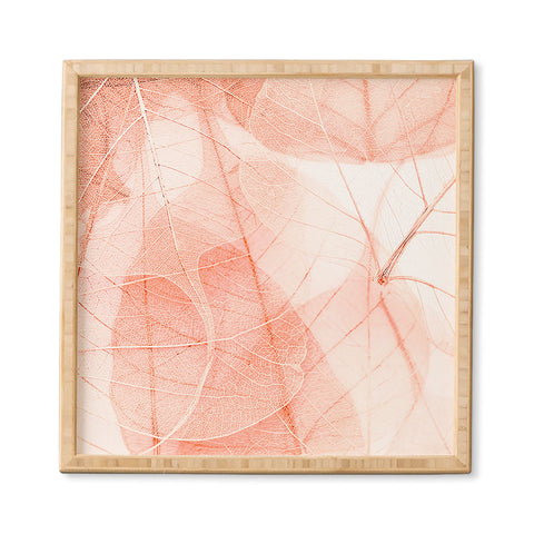 Ingrid Beddoes sun bleached apricot Framed Wall Art