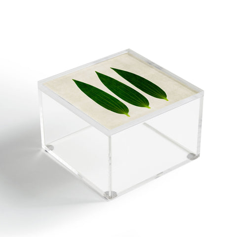 Iris Lehnhardt three of a kind 1 Acrylic Box