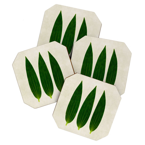 Iris Lehnhardt three of a kind 1 Coaster Set