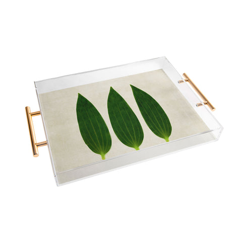 Iris Lehnhardt three of a kind 1 Acrylic Tray