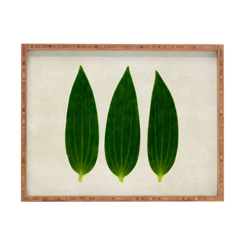 Iris Lehnhardt three of a kind 1 Rectangular Tray