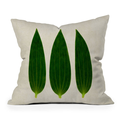 Iris Lehnhardt three of a kind 1 Outdoor Throw Pillow