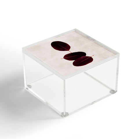 Iris Lehnhardt three of a kind 2 Acrylic Box