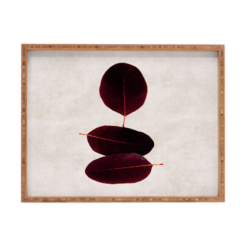 Iris Lehnhardt three of a kind 2 Rectangular Tray