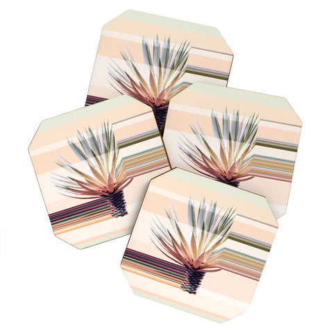 Iveta Abolina Agave Stripe Coaster Set