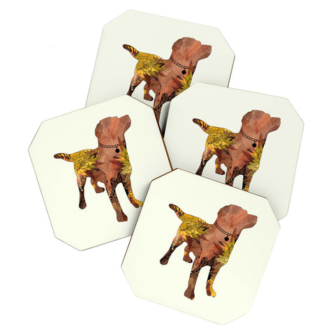 Iveta Abolina Brown Lab Coaster Set
