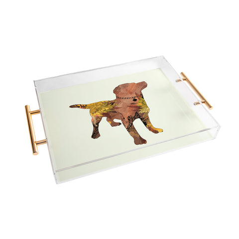 Iveta Abolina Brown Lab Acrylic Tray