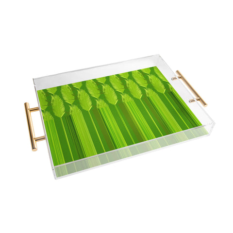Iveta Abolina Ferntastic Stripe Acrylic Tray