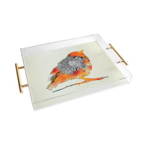Iveta Abolina Orange Bird Acrylic Tray