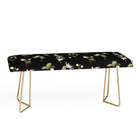 Iveta Abolina Pineberries Botanicals Black Bench