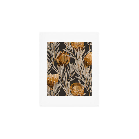 Iveta Abolina Protea Large Deep Brown Art Print