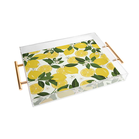 Iveta Abolina Summer Punch Acrylic Tray