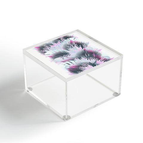 Iveta Abolina Tropical Reef Acrylic Box