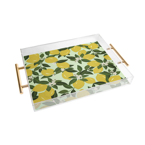 Iveta Abolina Vitamin C Acrylic Tray