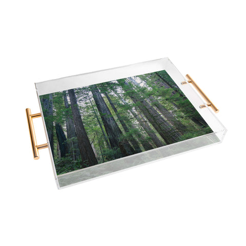 J. Freemond Visuals Among the Giants Acrylic Tray