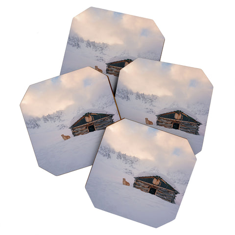 J. Freemond Visuals Cabin Life Enzo Coaster Set
