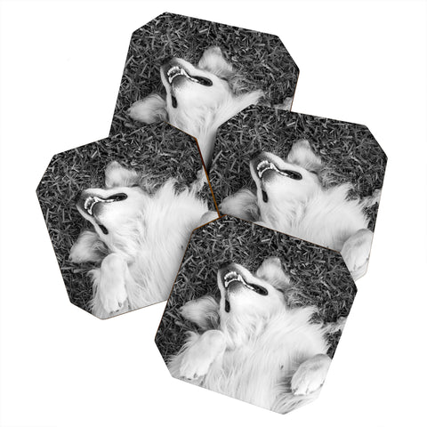 J. Freemond Visuals Goofy Enzo Coaster Set