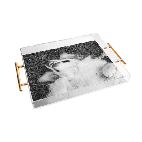 J. Freemond Visuals Goofy Enzo Acrylic Tray