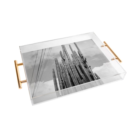 J. Freemond Visuals Highline Cacti Acrylic Tray